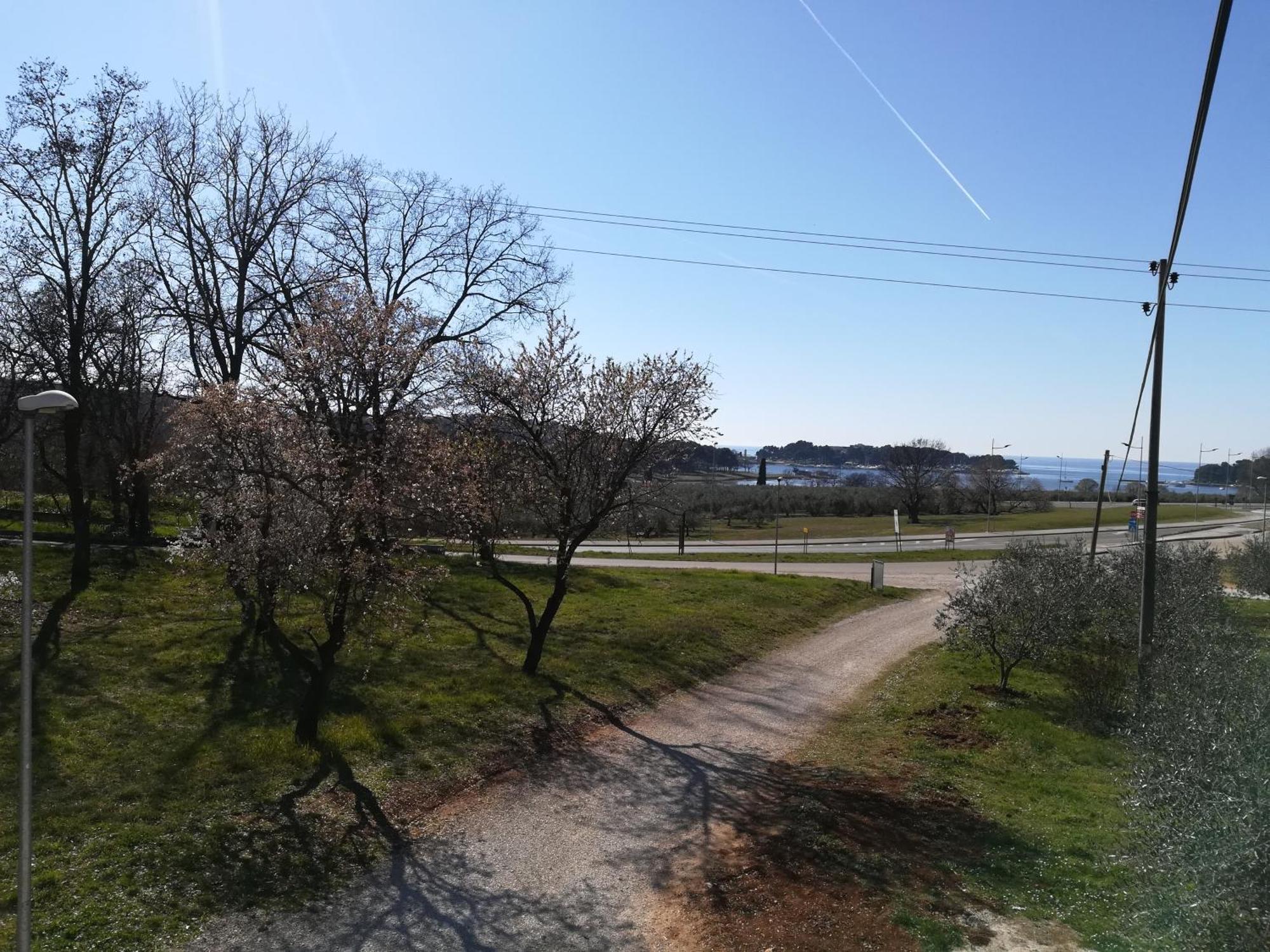Guesthouse Poreč Kültér fotó